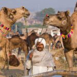 Rika hält sein Kamel während der Pushkar Camel Fair