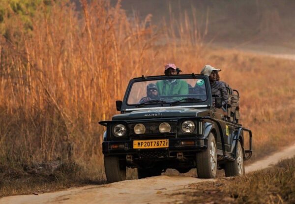 Auf den Spuren des Tigers – Safari-Reise Indien mit Delhi, Agra (Taj Mahal) und Jaipur